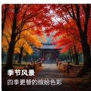 综合色拍秋季暖色色彩摄影